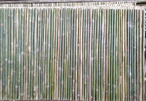 Bamboo Jafri